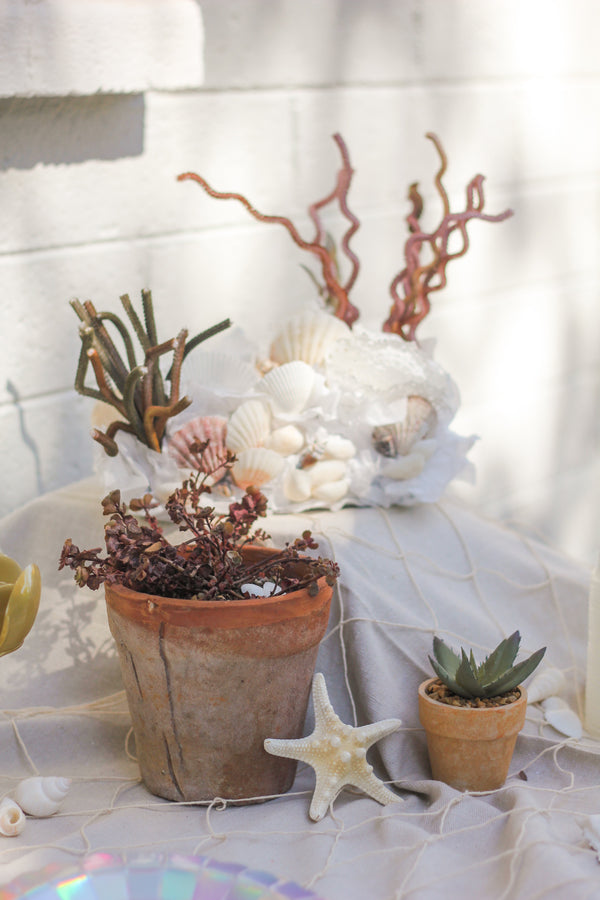 Summer Birthday | Our Twin's Under the Sea Party