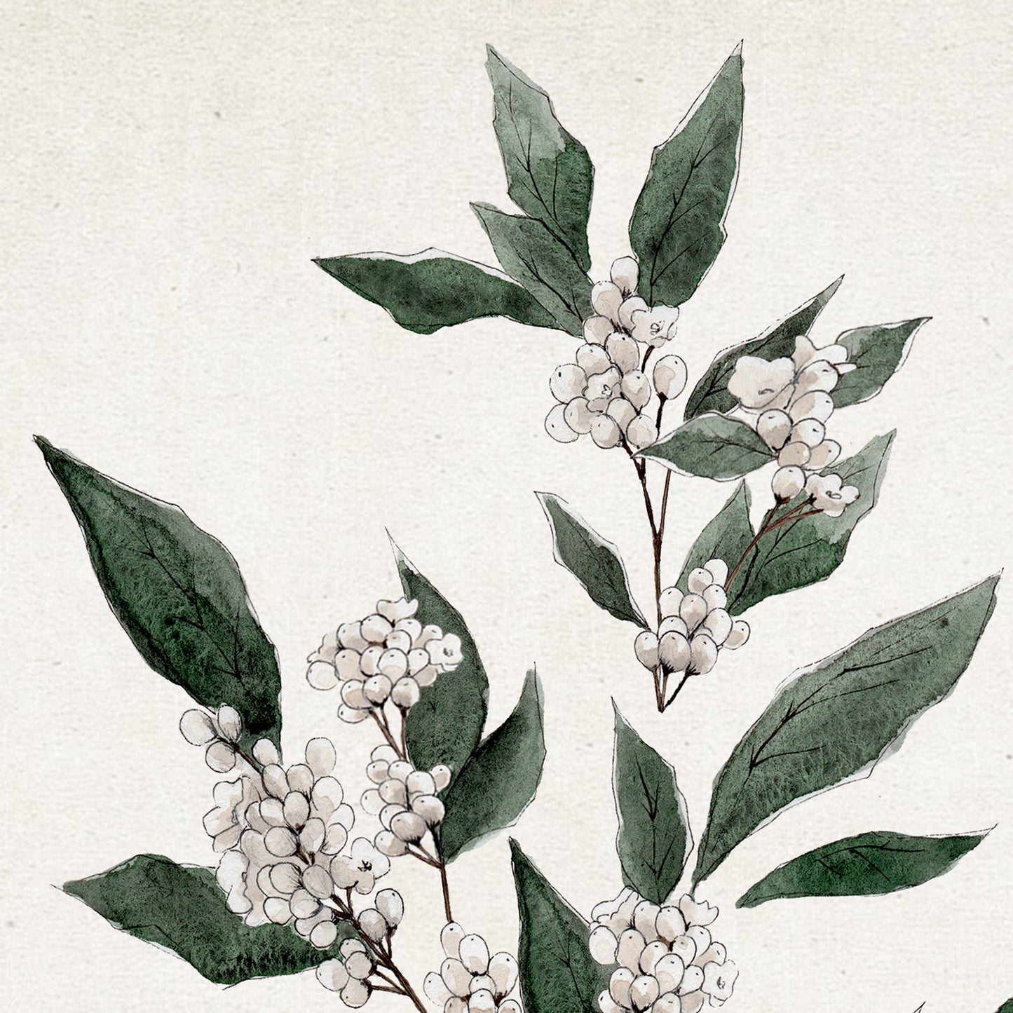 December Blooms - Coley Kuyper Art