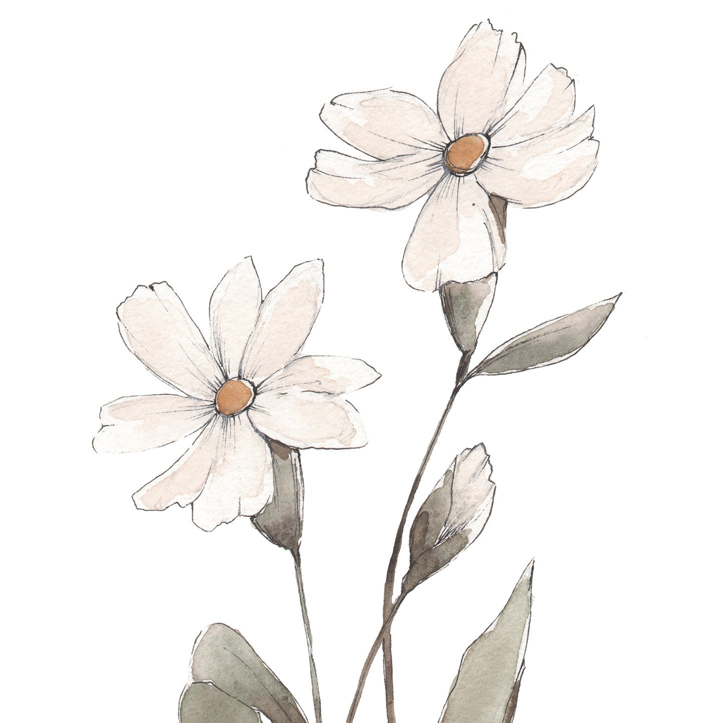 February Stems - Coley Kuyper Art