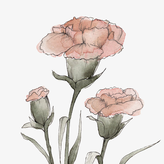 January Stems - Coley Kuyper Art