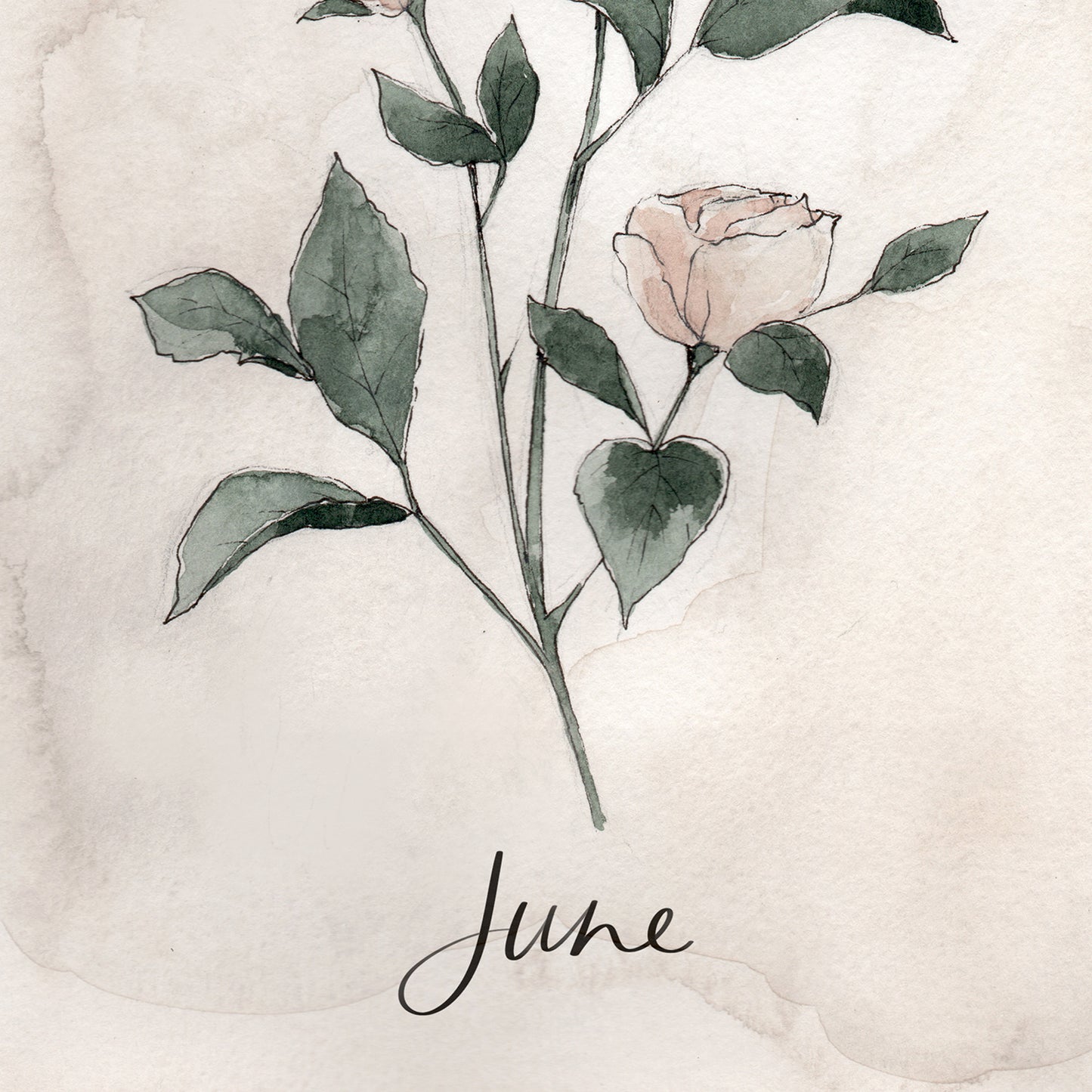 June Stems - Coley Kuyper Art
