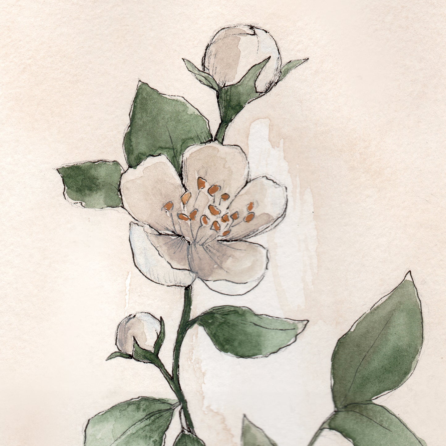 May Stems - Coley Kuyper Art