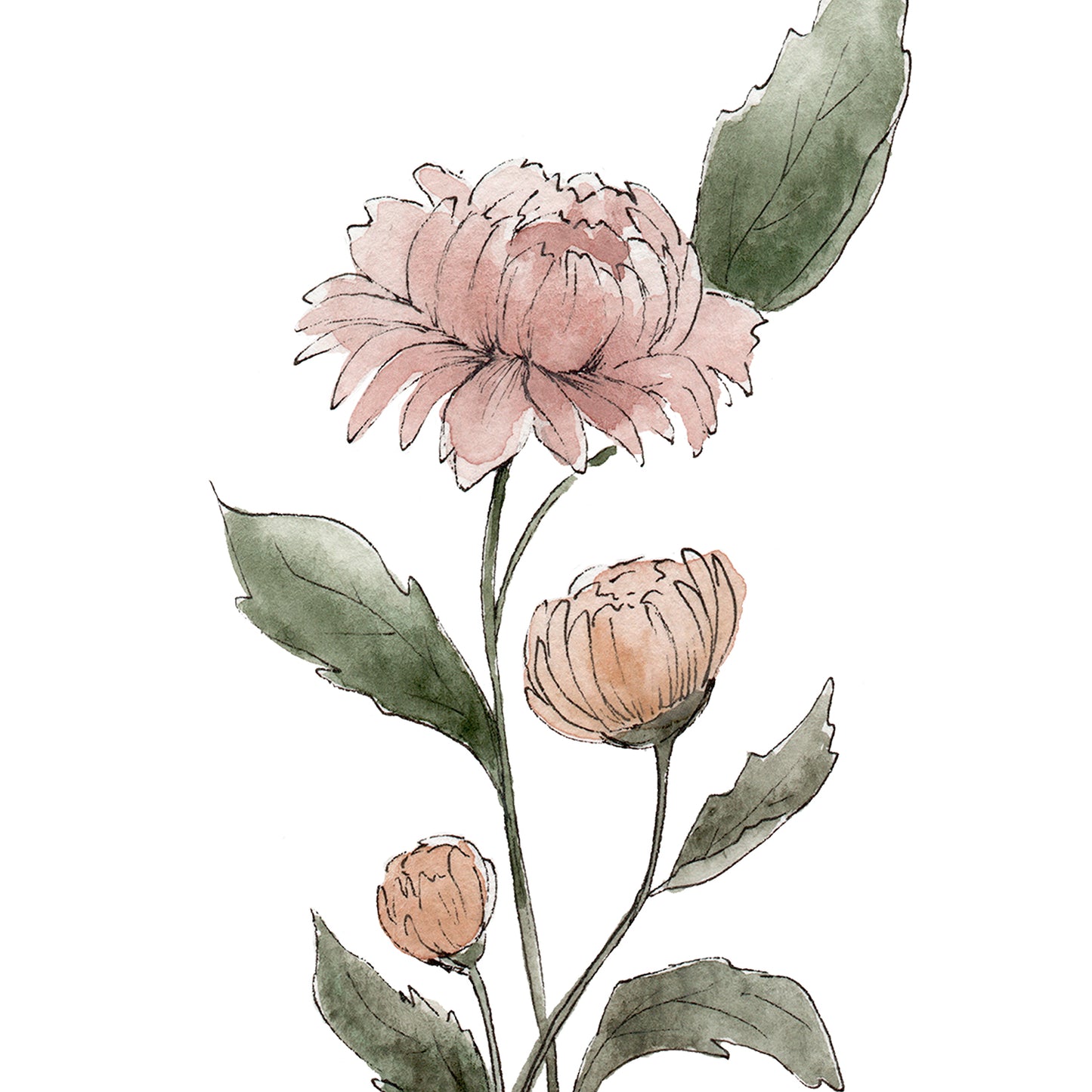 November Stems - Coley Kuyper Art