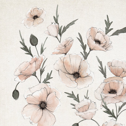 August poppy birth flower watercolor art print in soft neutral tones