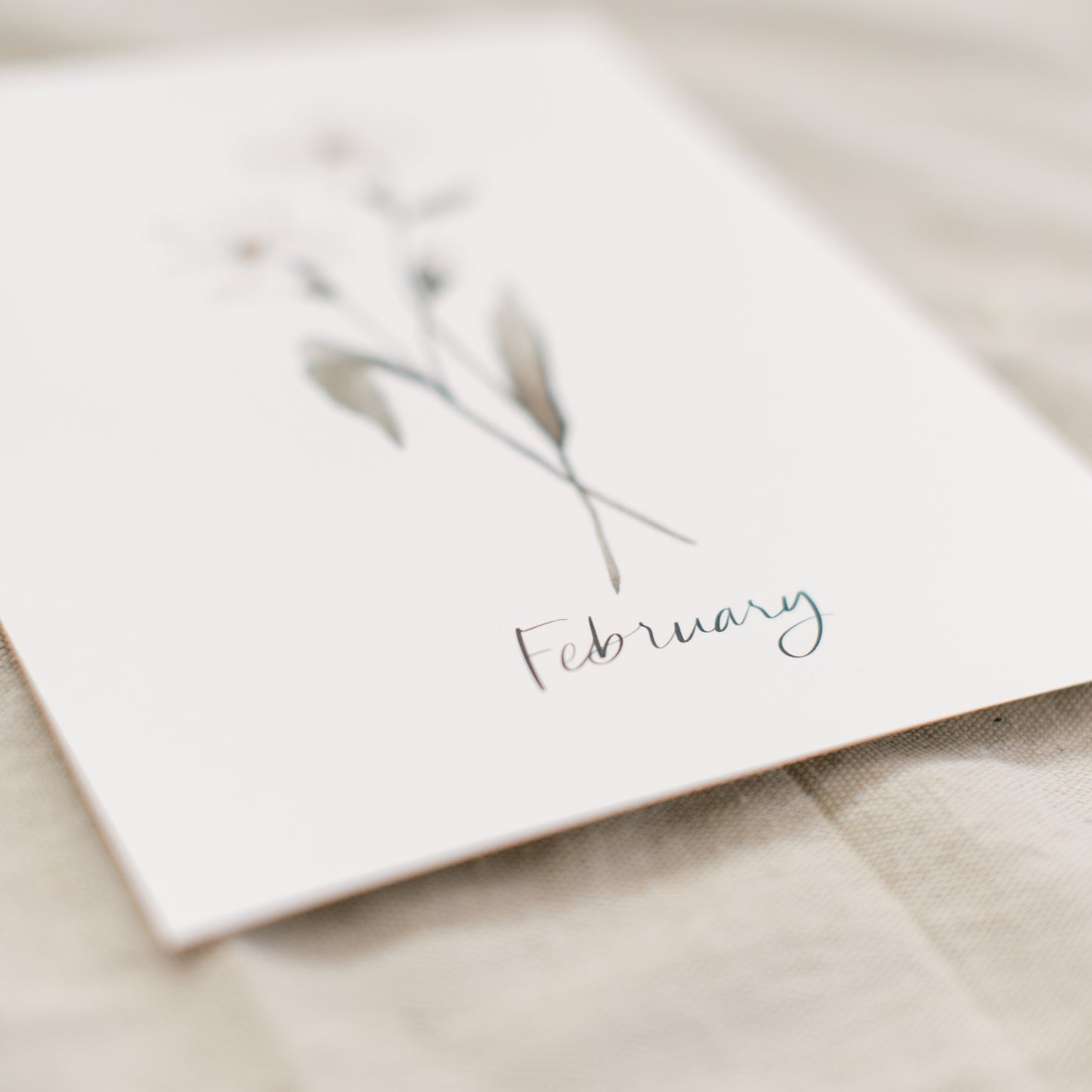 February Stems - Coley Kuyper Art