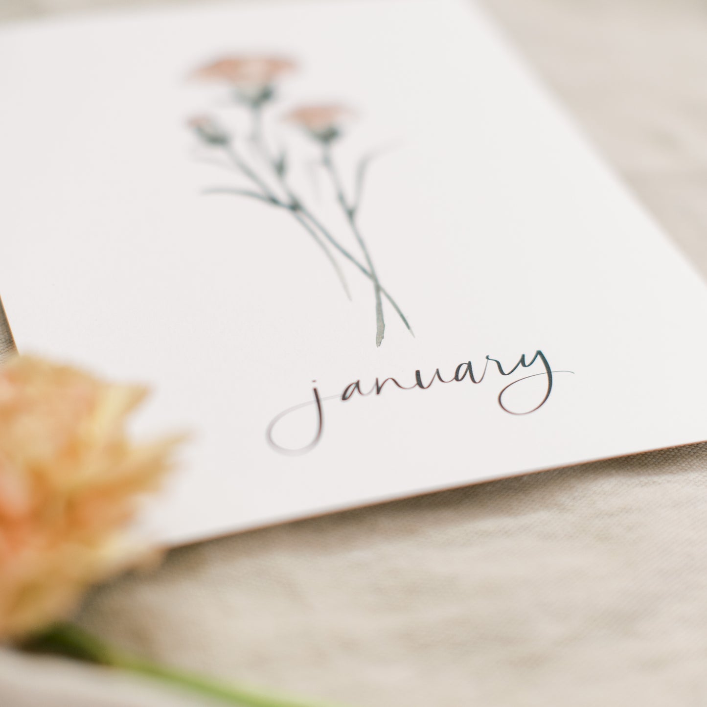 January Stems - Coley Kuyper Art