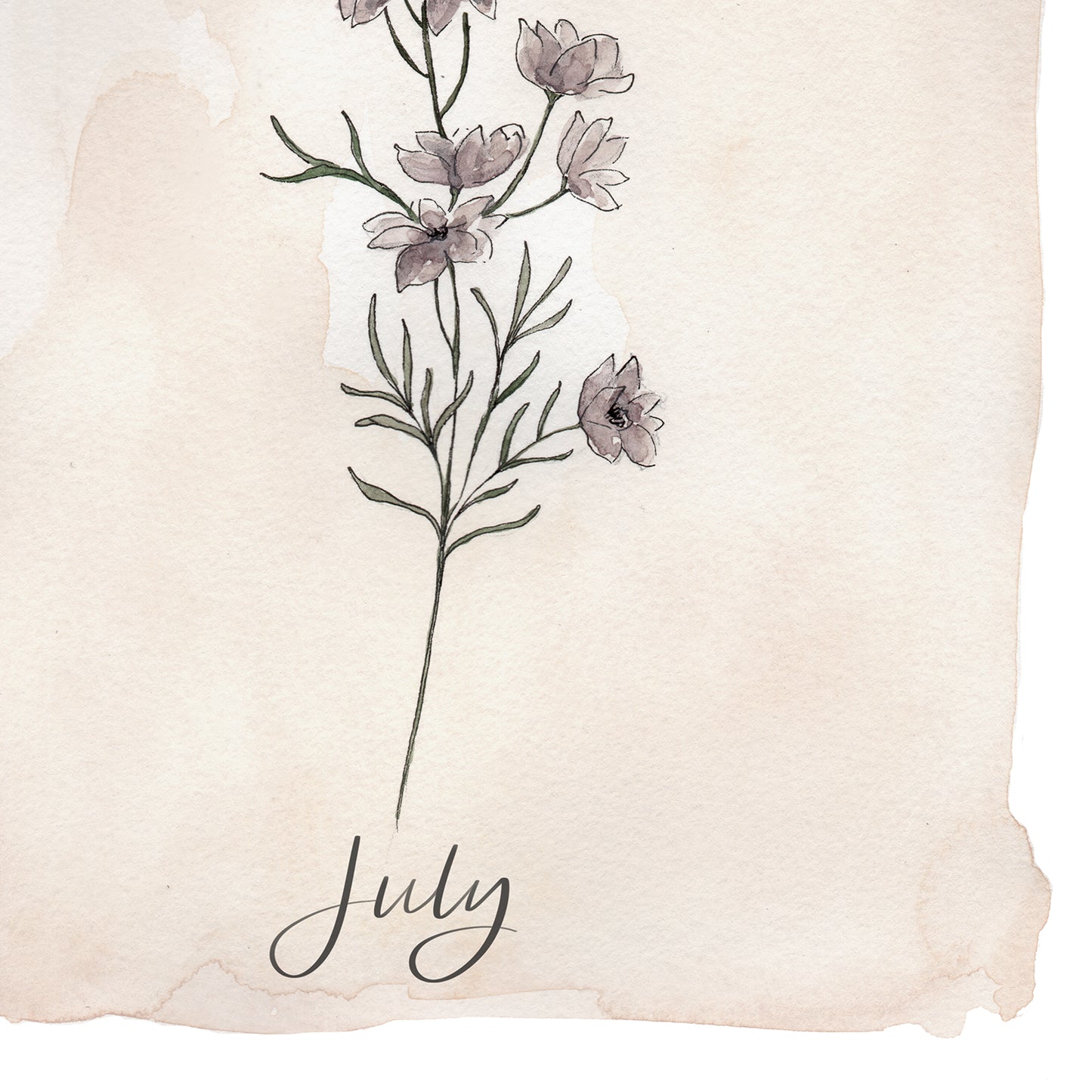 July Stems - Coley Kuyper Art