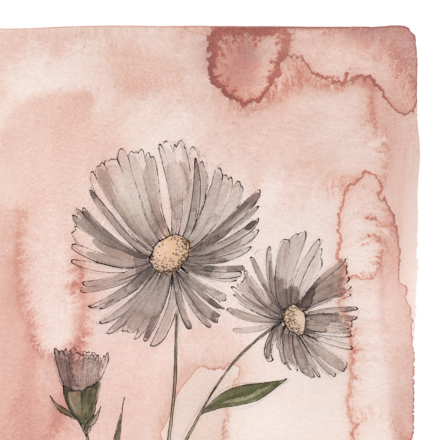 September Stems - Coley Kuyper Art