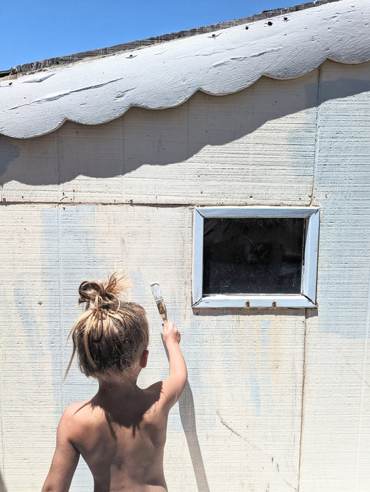 Playhouse Revamp Before Pics | Inspiration Board & Ideas