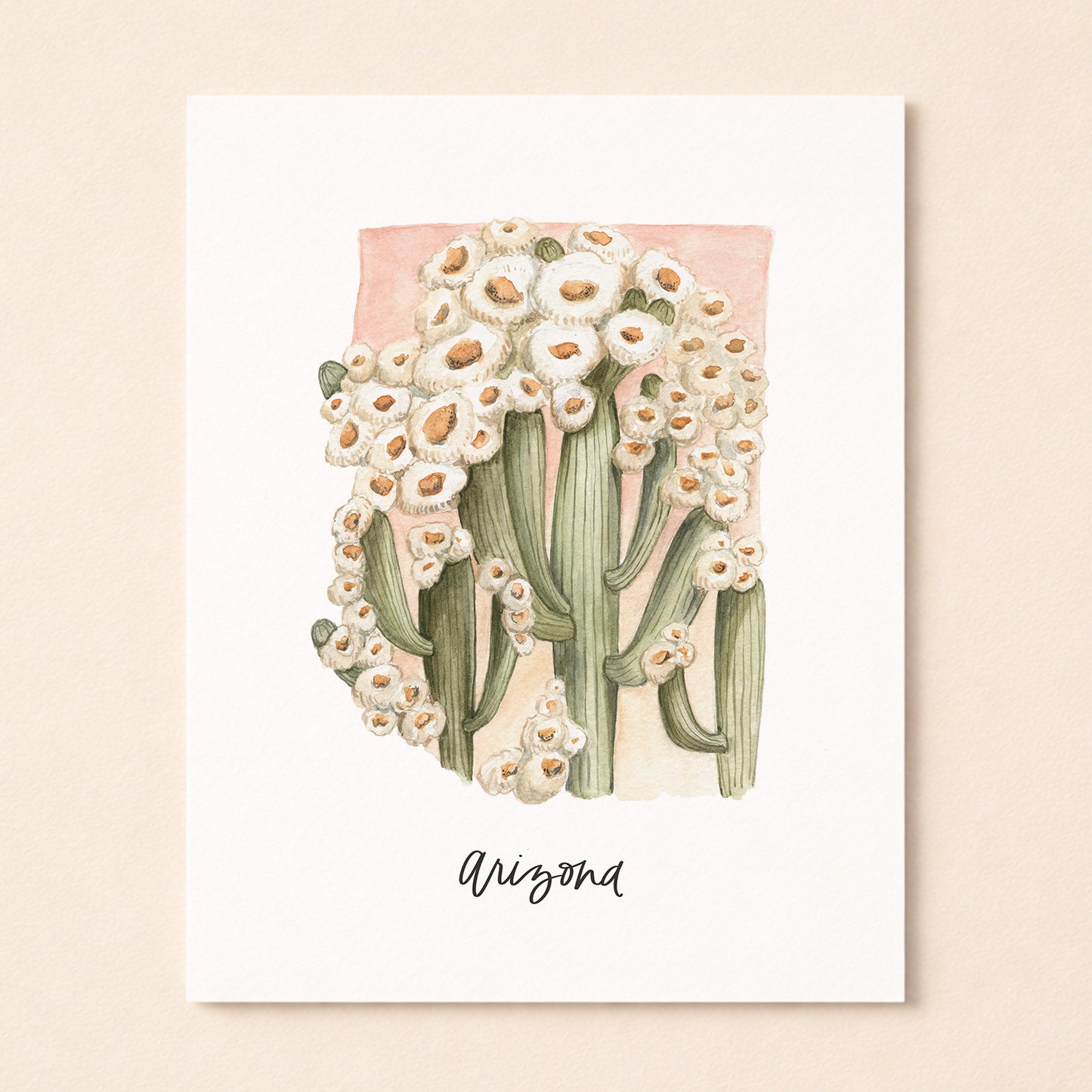 Arizona state flower Saguaro Cactus Blossom watercolor art print with hand-lettered Arizona on archival paper