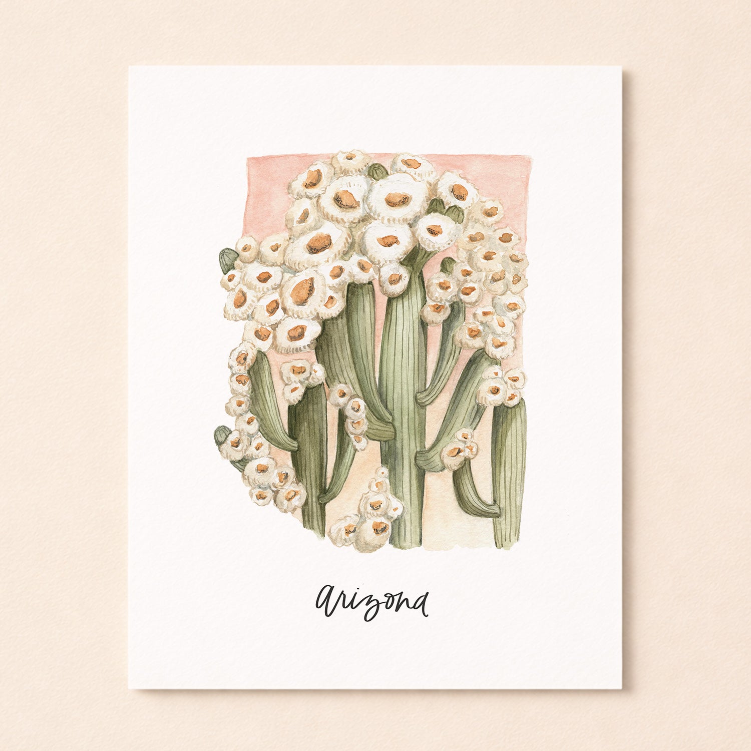 Arizona state flower Saguaro Cactus Blossom watercolor art print with hand-lettered Arizona on archival paper