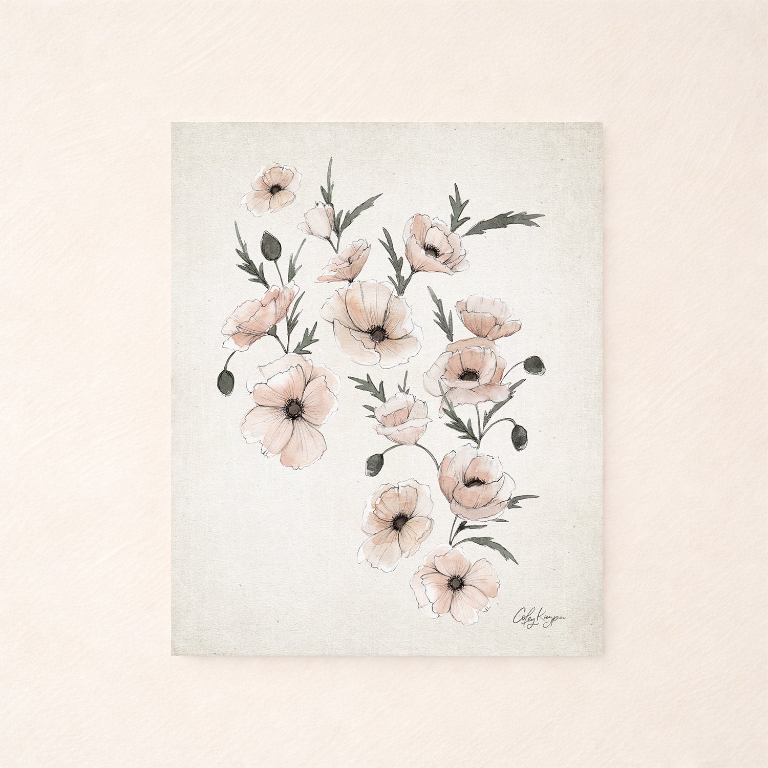August poppy birth flower watercolor art print in soft neutral tones