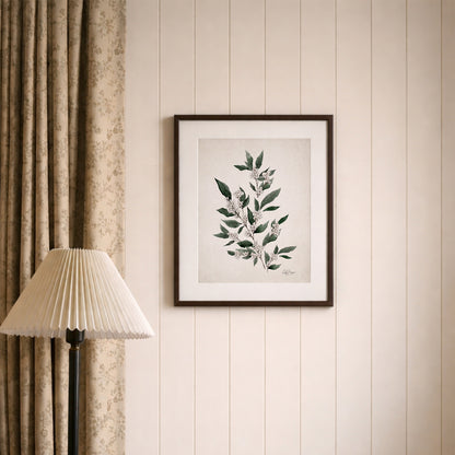 December Holly Birth Flower Blooms | Watercolor Art Print - Coley Kuyper Art