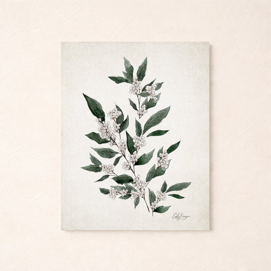 December narcissus birth flower watercolor art print in soft neutral tones