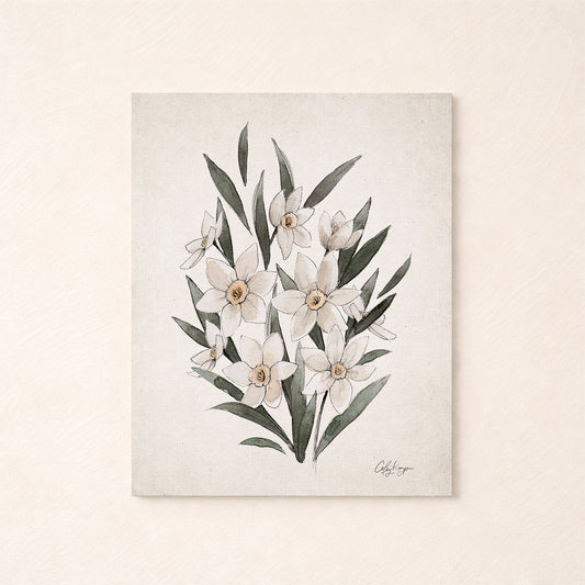 Daffodil birth flower wall art on neutral background– March watercolor art print by Coley Kuyper