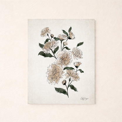 November chrysanthemum birth flower watercolor art print in soft peach and green neutral tones