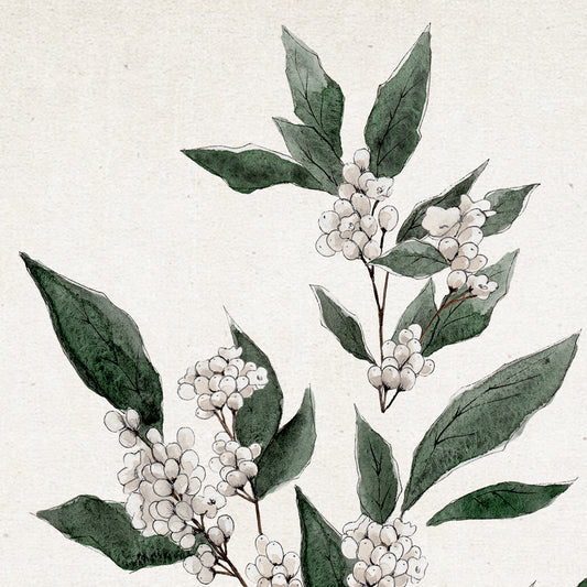 December Blooms - Coley Kuyper Art