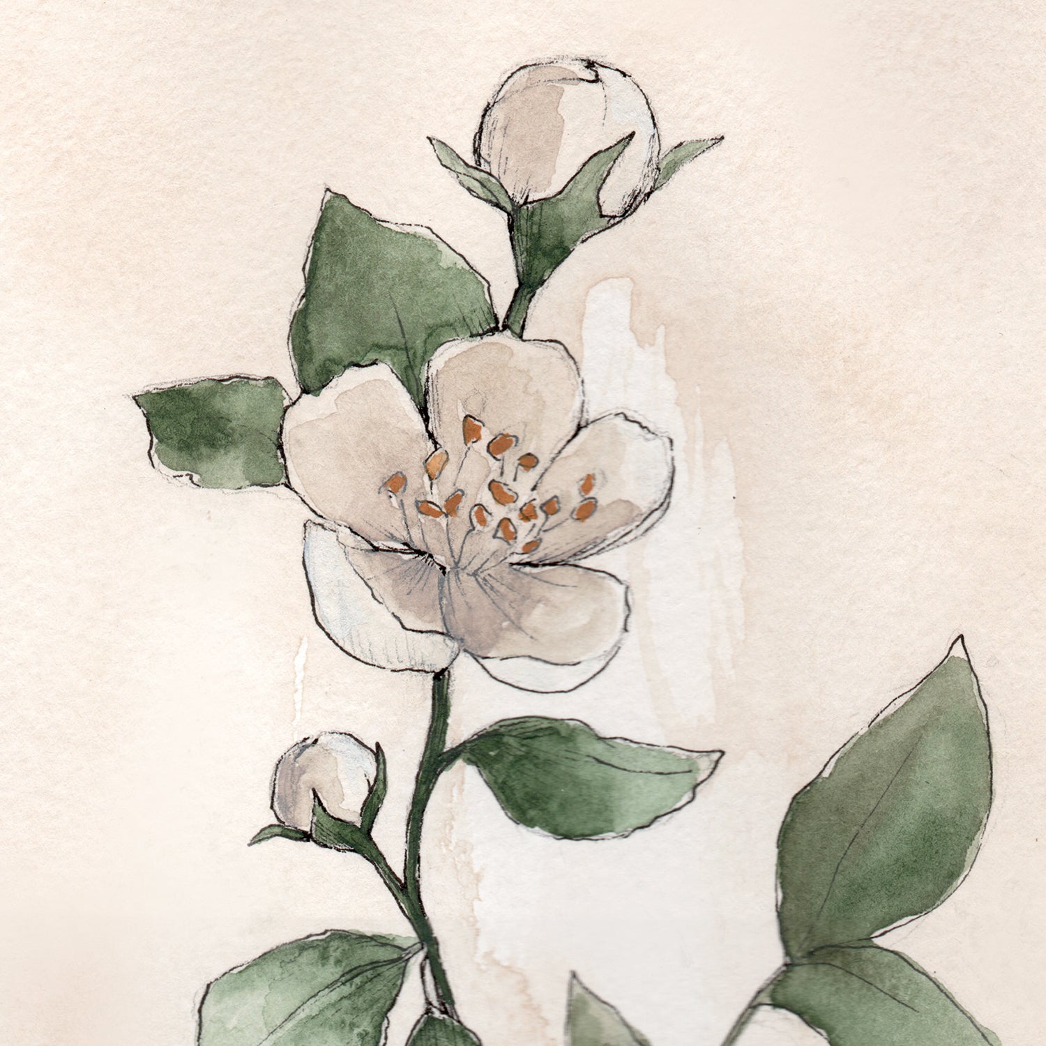 May Stems - Coley Kuyper Art