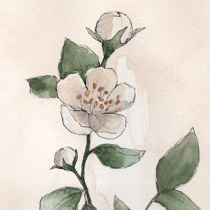 May Stems - Coley Kuyper Art