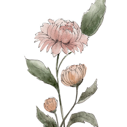 November Stems - Coley Kuyper Art