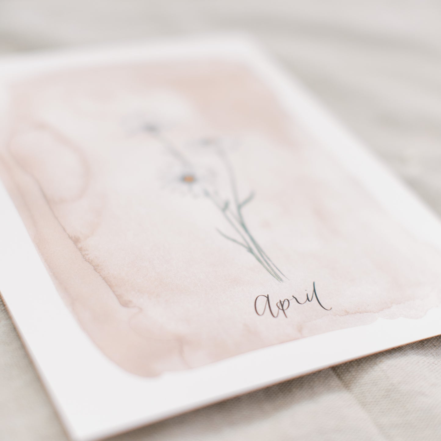 April Stems - Coley Kuyper Art