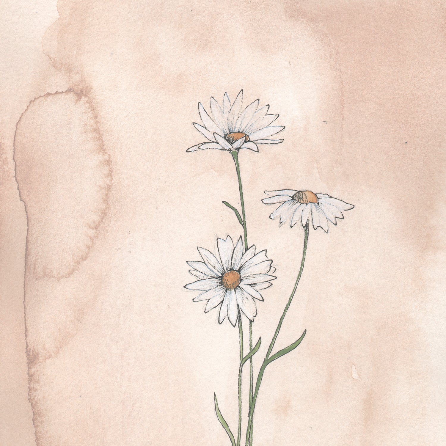 April Stems - Coley Kuyper Art