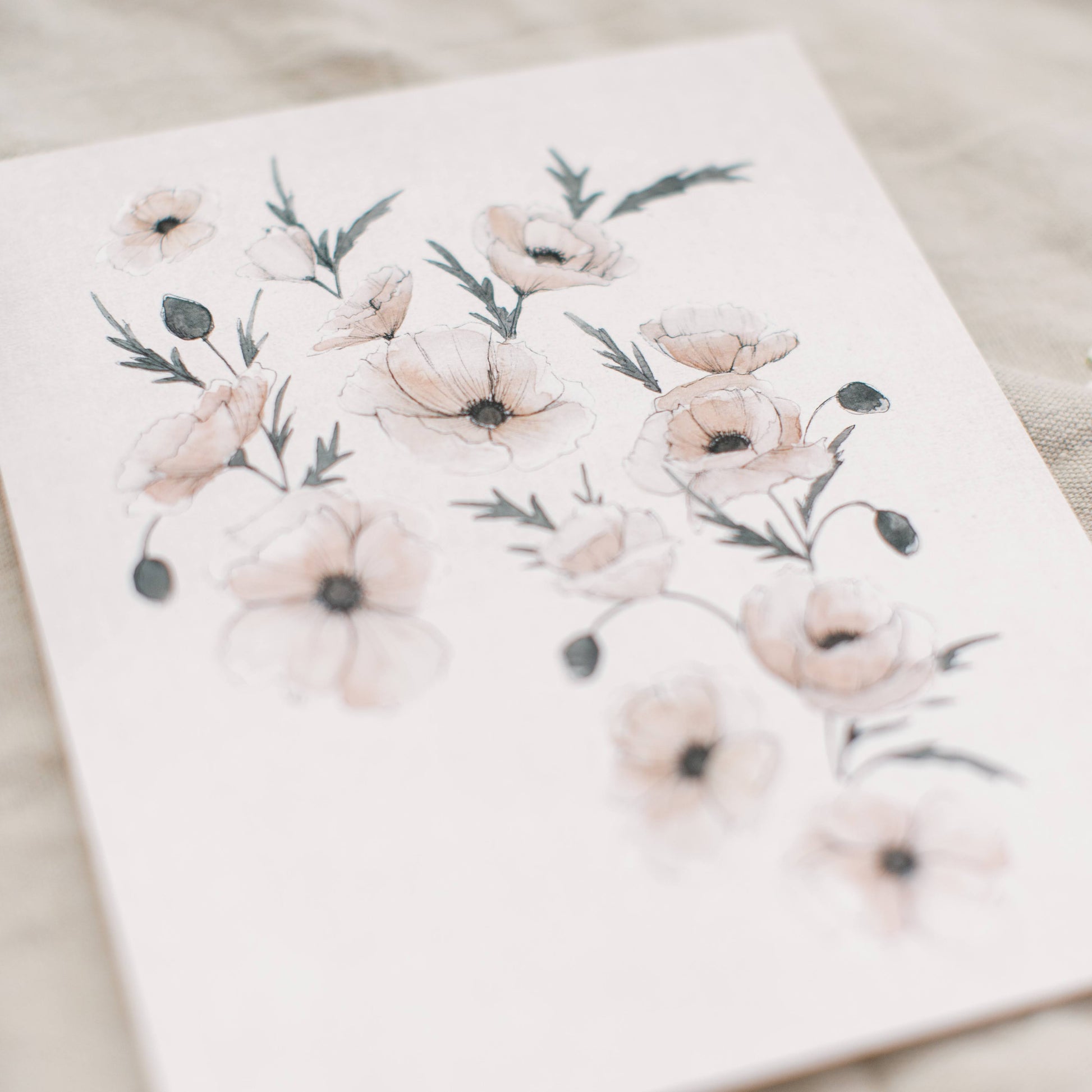 August Blooms - Coley Kuyper Art