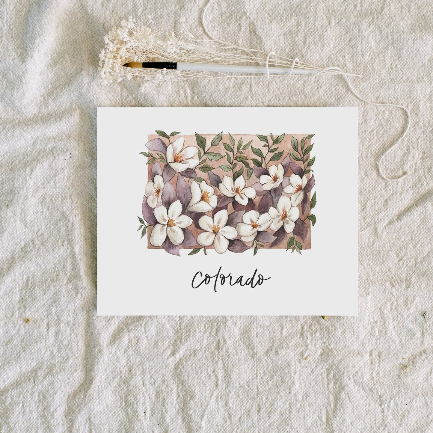 Colorado State Flower | Art Print - Coley Kuyper Art
