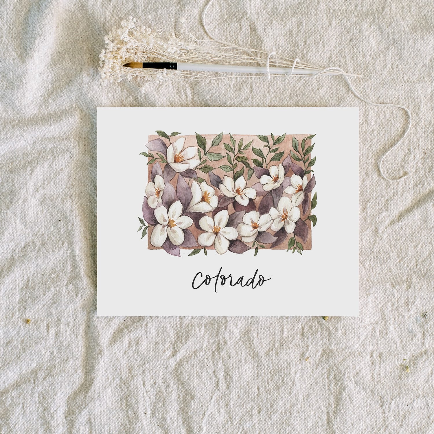 Colorado State Flower | Art Print - Coley Kuyper Art