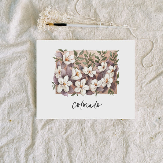 Colorado State Flower | Art Print - Coley Kuyper Art