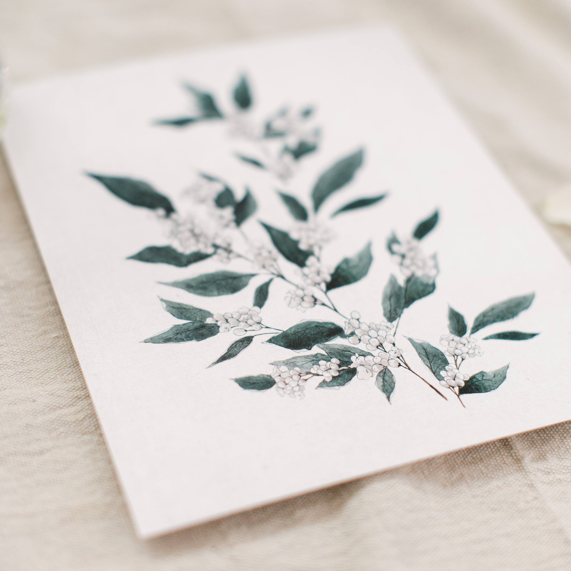 December Blooms - Coley Kuyper Art