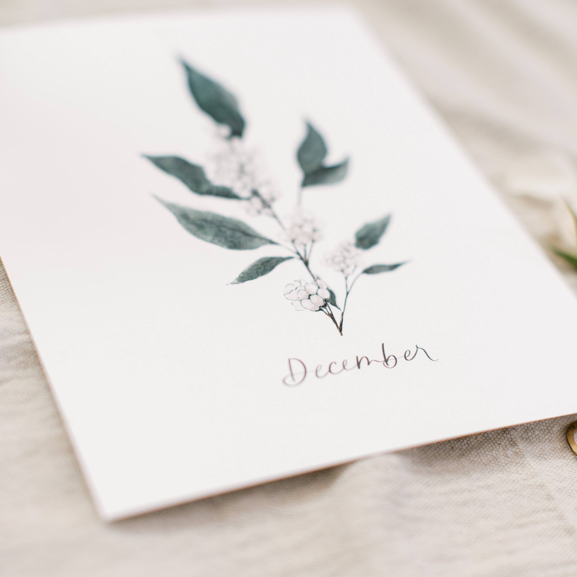 December Stems - Coley Kuyper Art