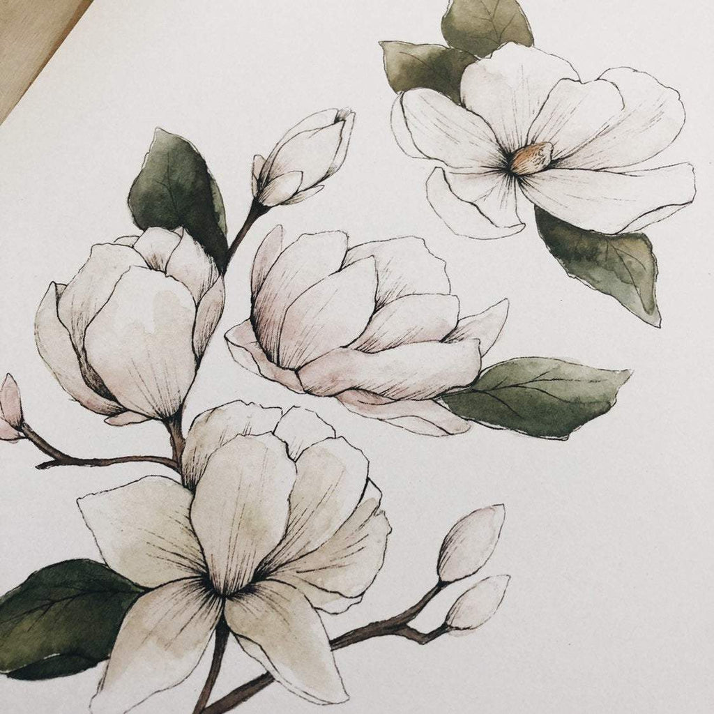 Magnolia Flower - Coley Kuyper Art
