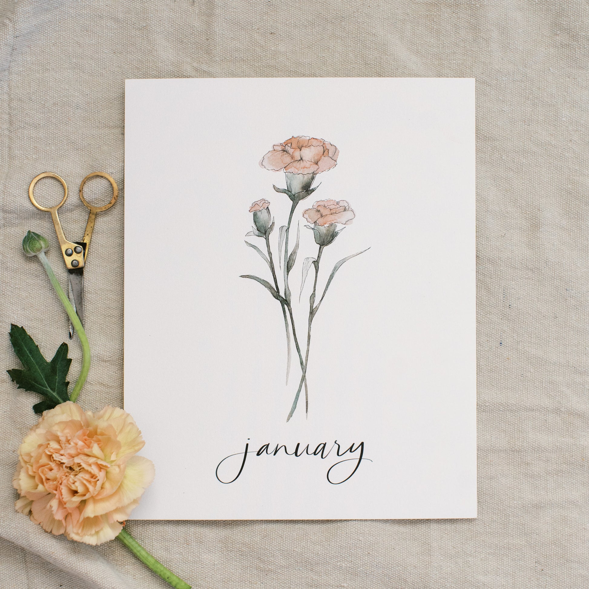 January Stems - Coley Kuyper Art