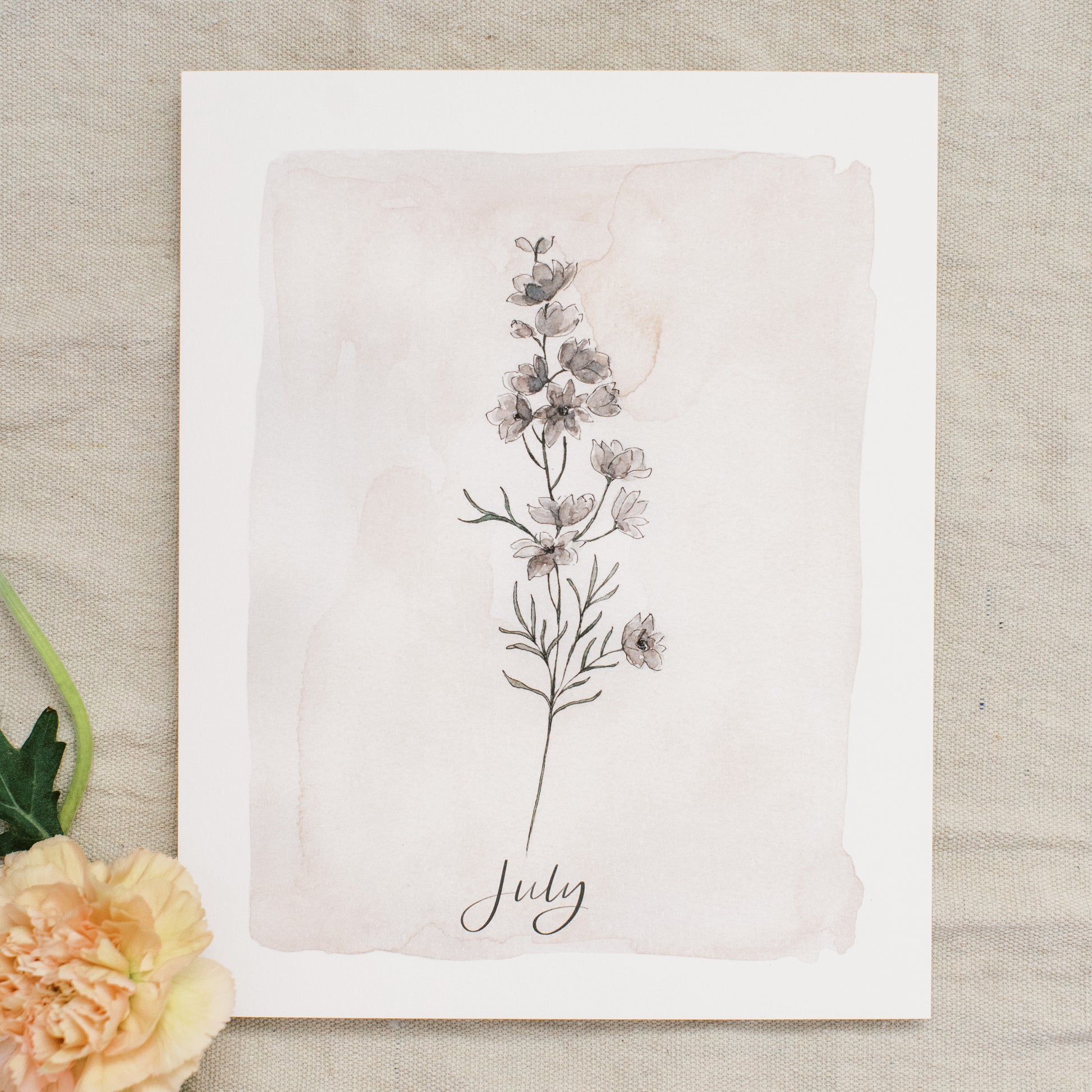 July Stems - Coley Kuyper Art