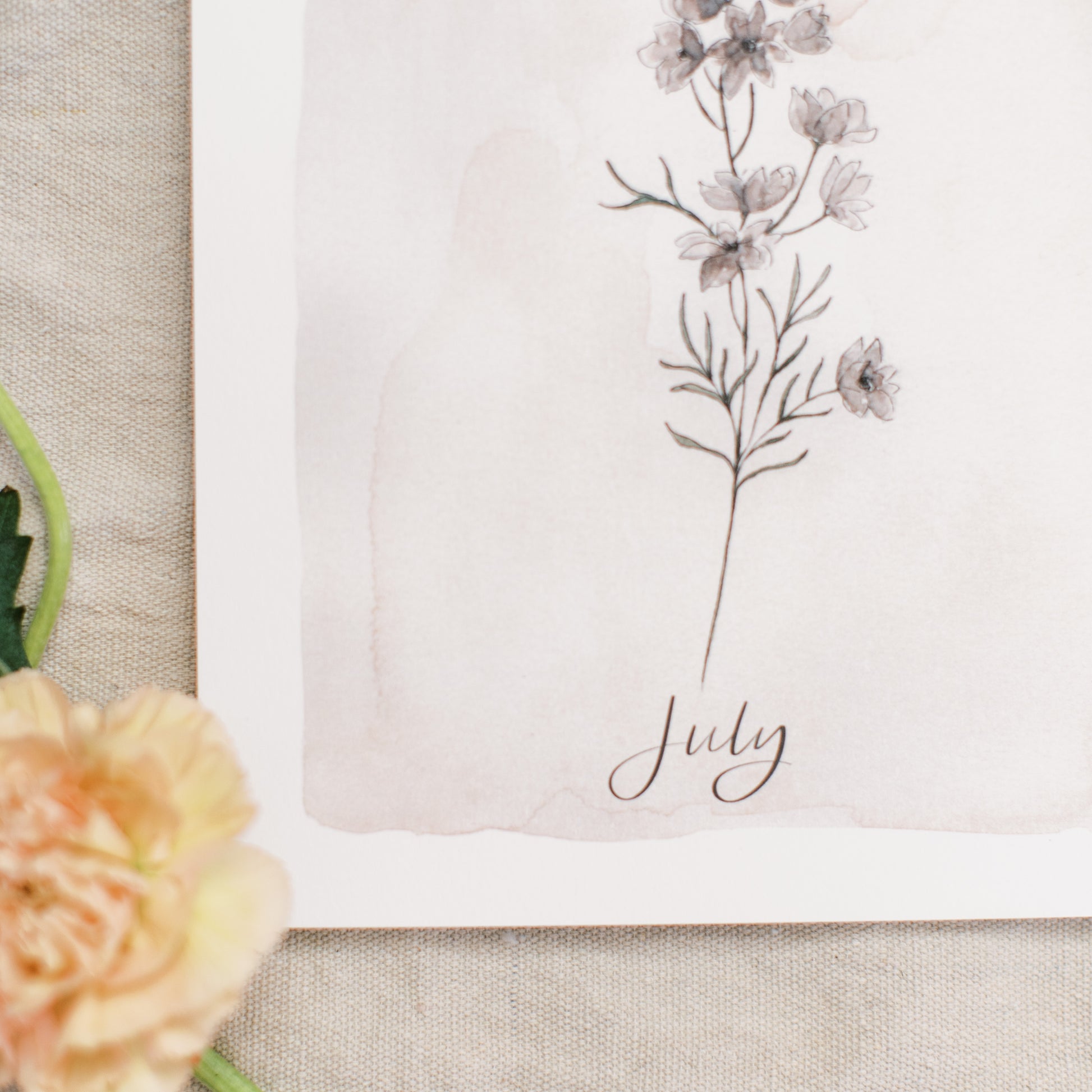 July Stems - Coley Kuyper Art