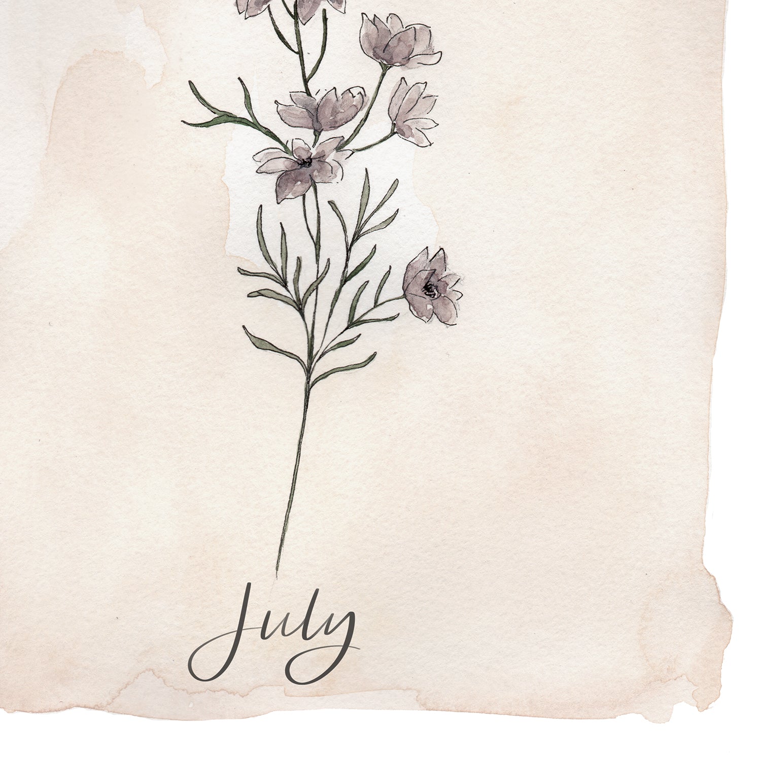 July Stems - Coley Kuyper Art