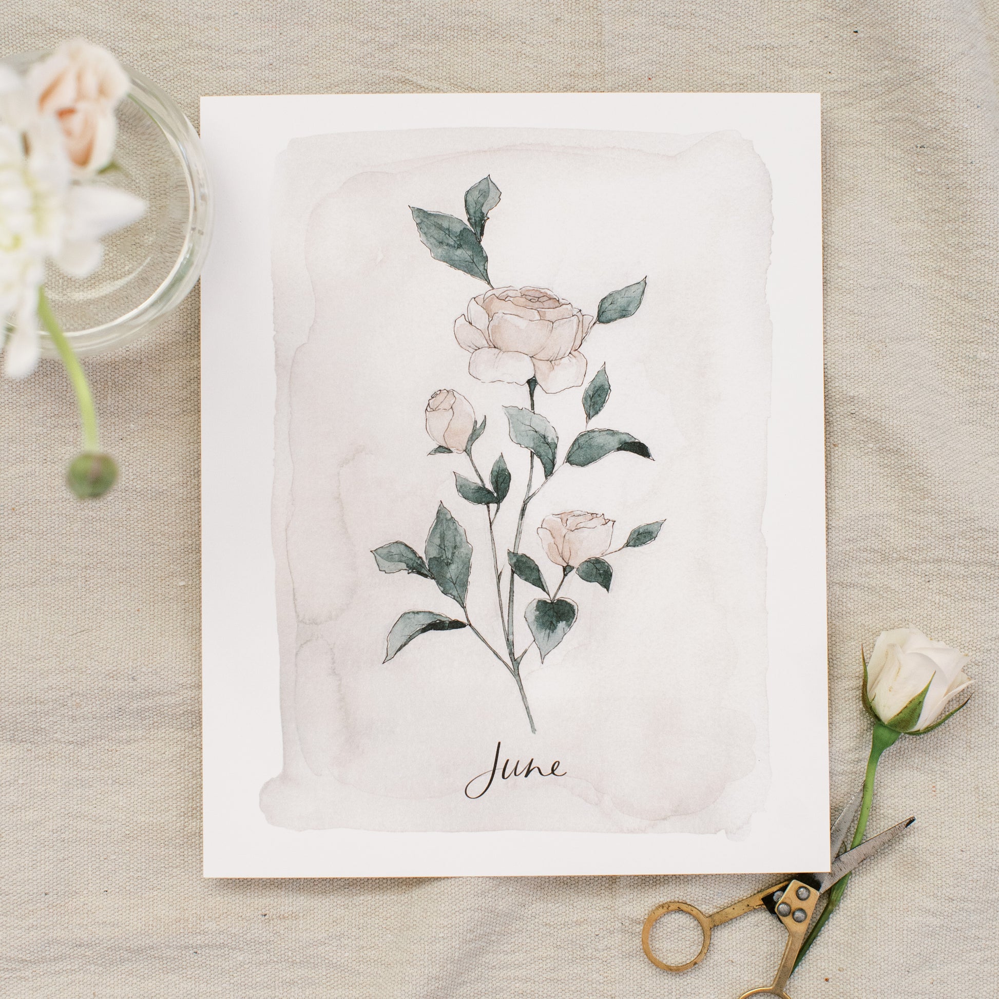 June Stems - Coley Kuyper Art