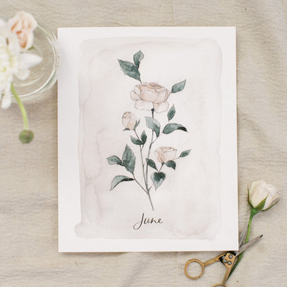 June Stems - Coley Kuyper Art