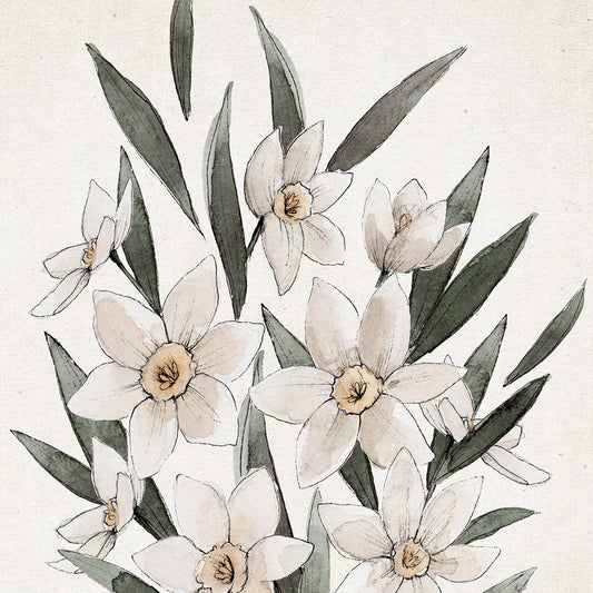 Daffodil birth flower wall art on neutral background– March watercolor art print by Coley Kuyper