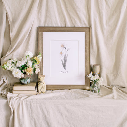 March Stems - Coley Kuyper Art