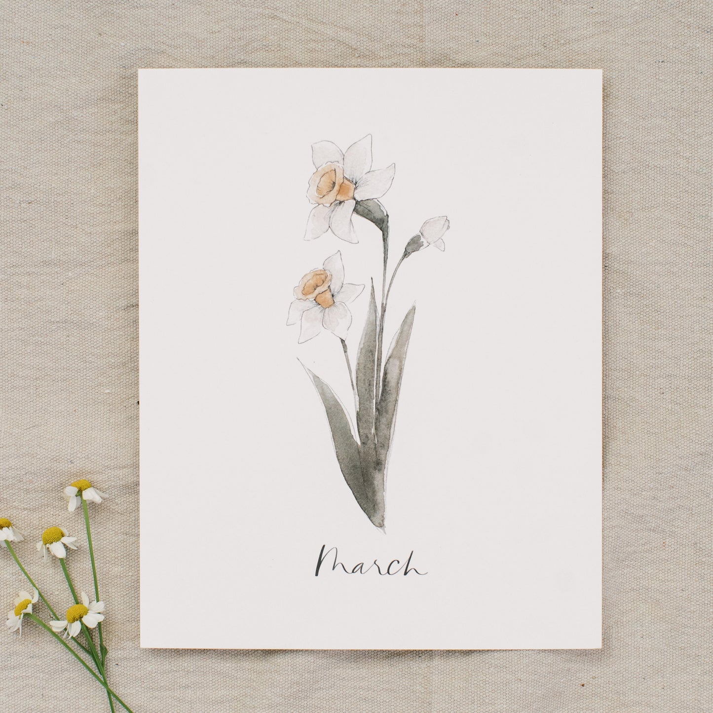 March Stems - Coley Kuyper Art