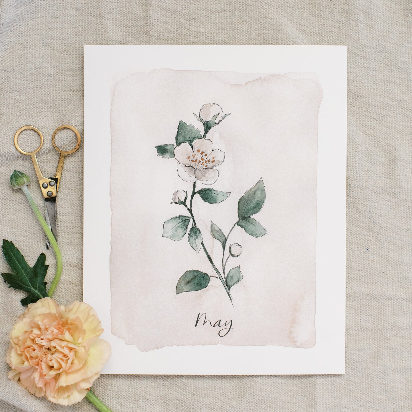 May Stems - Coley Kuyper Art