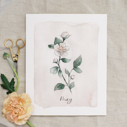 May Stems - Coley Kuyper Art