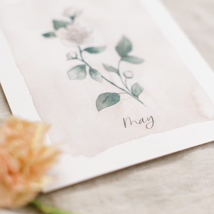 May Stems - Coley Kuyper Art