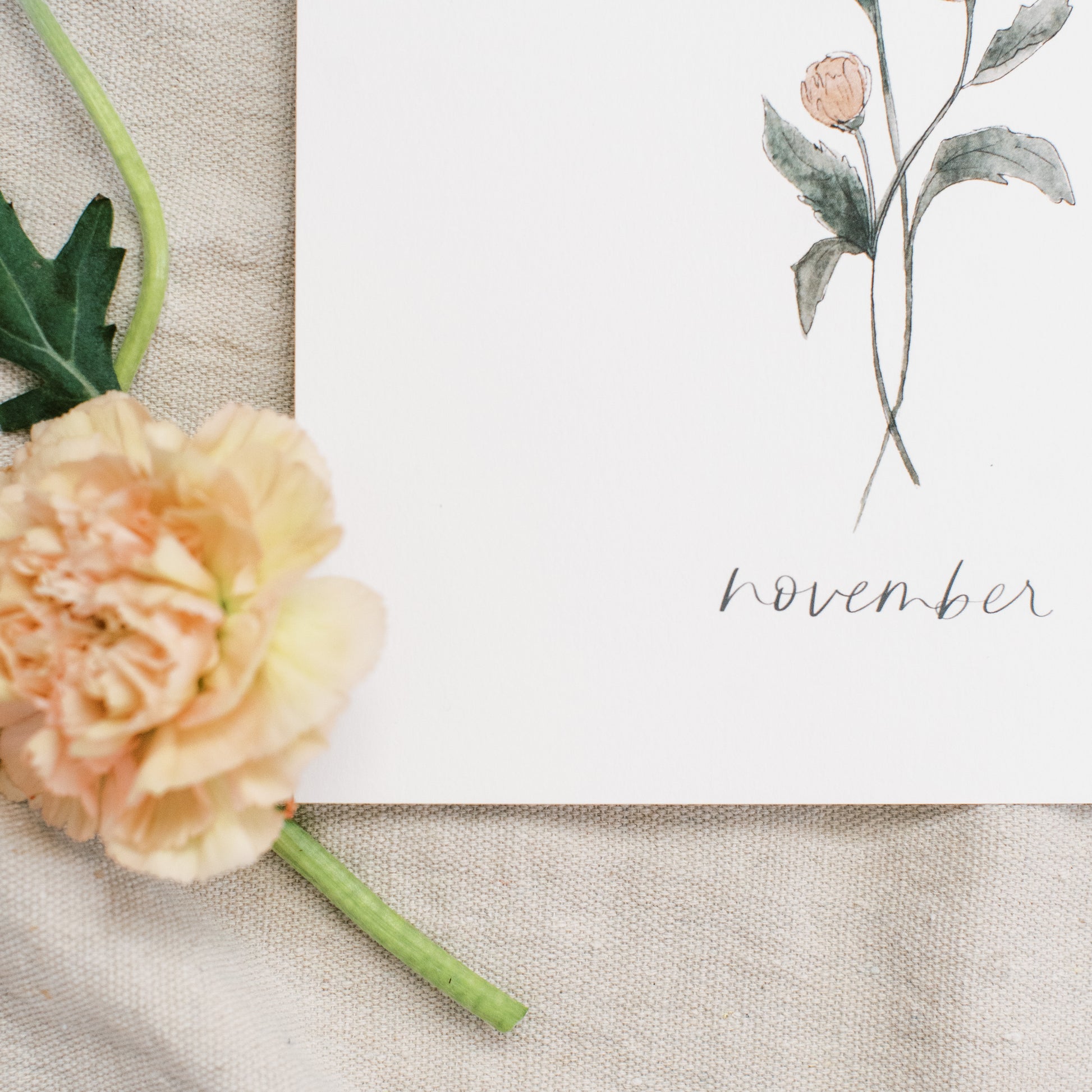 November Stems - Coley Kuyper Art