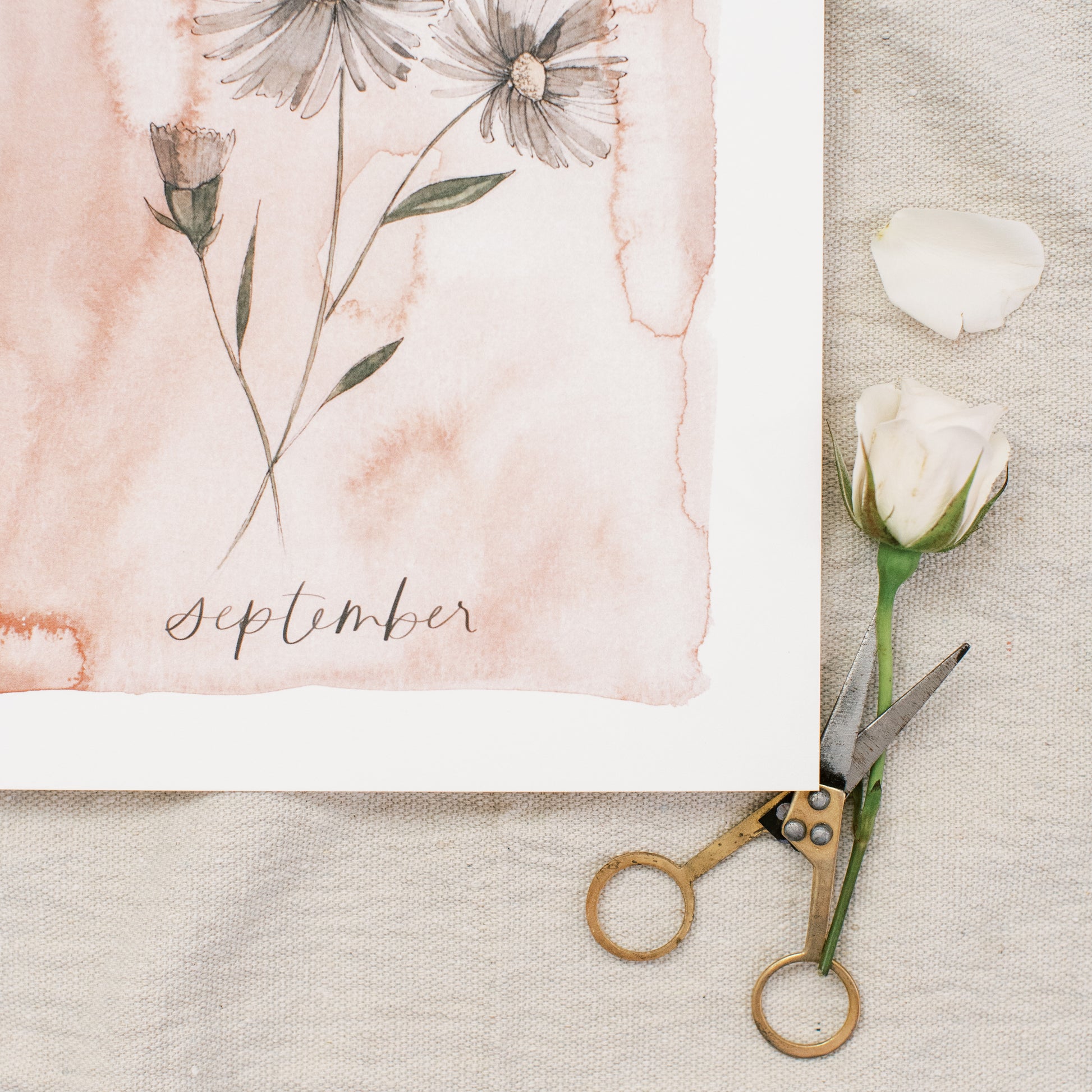 September Stems - Coley Kuyper Art