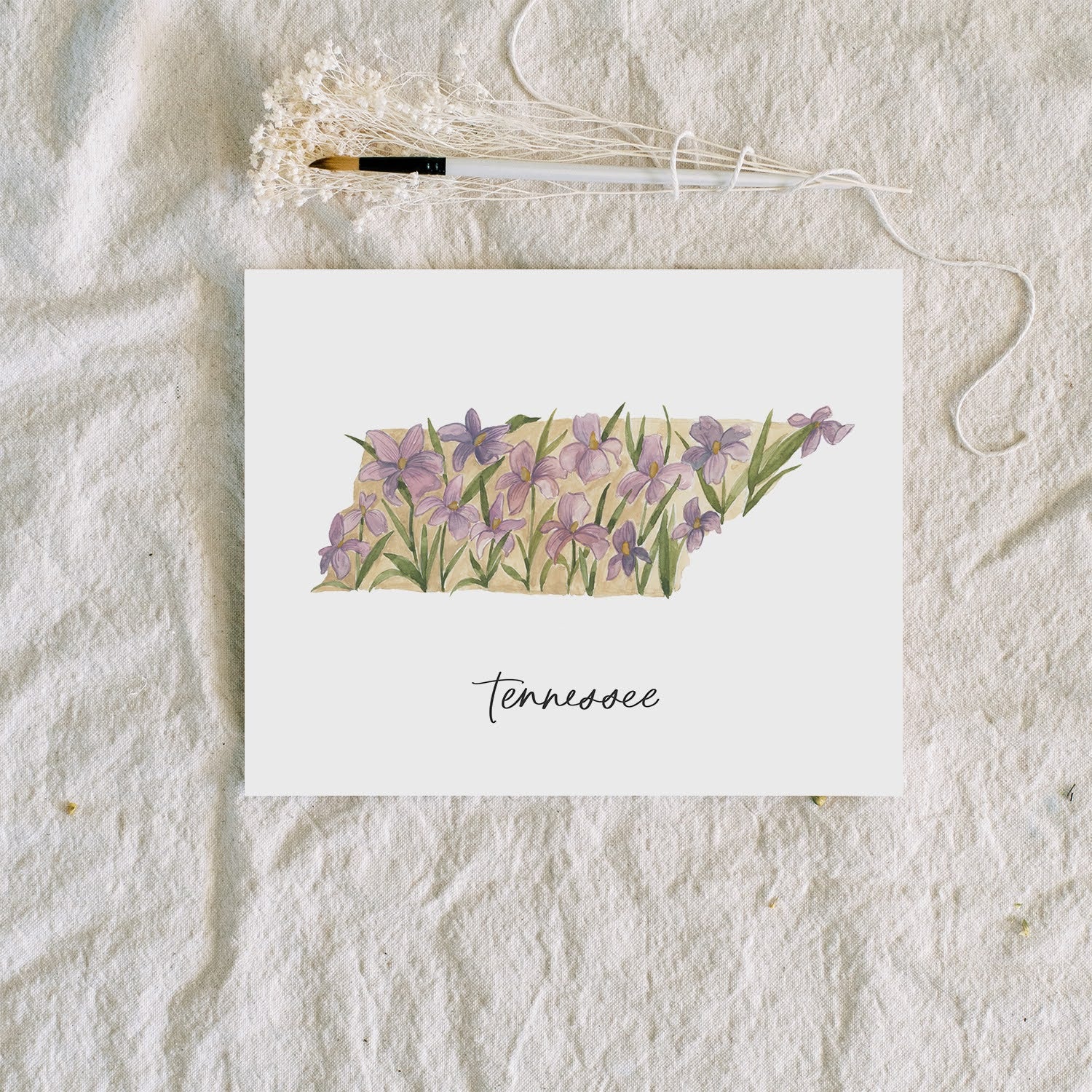 Tennessee Iris | Art Print - Coley Kuyper Art